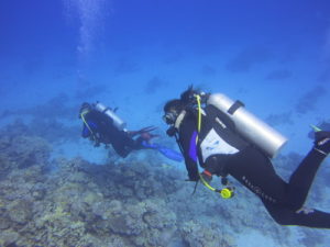 Plongée sous marine